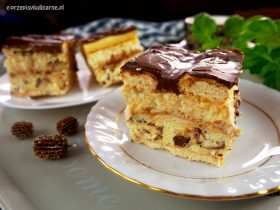 Ciasto Wygodnisia bez pieczenia – przysmak kokosowy z czekoladą